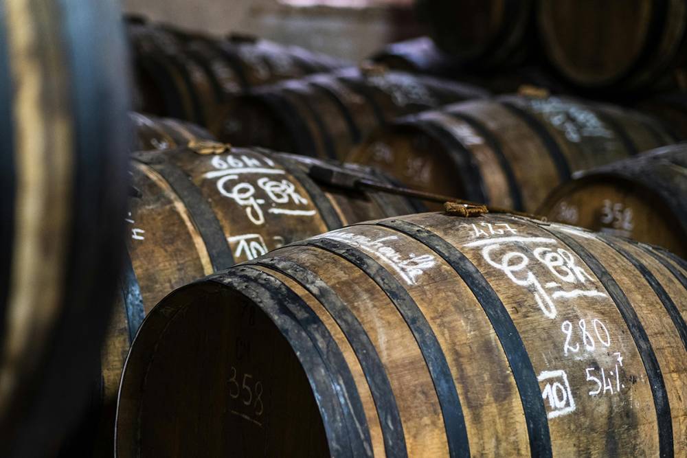 medoc-wine-tour